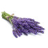 Віск для депіляції плівковий Italwax VANIRA Aromatic SPA "Nirvana" Лаванда 1 кг