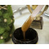 Золотая сахарная паста Terra Sparkling Gold (средняя), 700 г