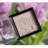 Хайлайтер SKIN GLOW Triumph CTC09 01
