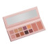 Палетка теней для глаз з румянами Angelic (12 color) Bogenia BG902