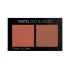 Набір рум'ян PASTEL PROFASHION DUO CHEEK TO CHEEK 20