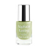 Лак для нігтів TopFace "Lasting color" PT104 134