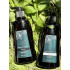 Кондиціонер + Шампунь Bogenia Rosemary Peppermint Bogenia BG412