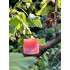 Ночная маска для губ с экстрактом ягод LANEIGE Lip Sleeping Mask Berry 3g
