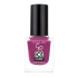 Лак для ногтей Golden Rose Ice Chic Nail Colour 31