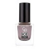 Лак для ногтей Golden Rose Ice Chic Nail Colour 64