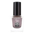 Лак для ногтей Golden Rose Ice Chic Nail Colour 64