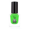 Лак для ногтей Golden Rose Ice Chic Nail Colour 304