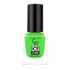 Лак для ногтей Golden Rose Ice Chic Nail Colour 304