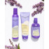 Шампунь для освітленого та сивого волосся Inebrya No Yellow Blondesse 300 ml