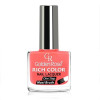 Лак для ногтей Rich Color Golden Rose 73
