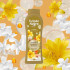 Гель для душа Tulipan Negro Floral Янтарь и сандал, 650 мл