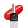 Гель-лак для нігтів Bogenia Gel Polish Professional Formula  BG101 8 мл 014 Термін