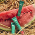 Блеск для губ Kherson Watermelon Lipss
