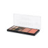 Палетка для макияжа ARTIST COLOR SET Triumph СТЕ32 №21