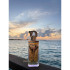Fragrance World Allure Couture парфумована вода 100мл