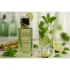 Gulf Orchid Mojito Obsession парфюмированная вода ,100 мл
