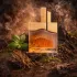 Fragrance World Bois De Bois парфюмированная вода 100мл