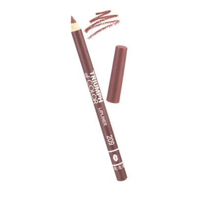 Карандаш для губ TRIUMPH of COLOR CW212 209