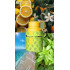 Armaf Odyssey Limoni Fresh парфюмированная вода 100мл