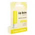 Бальзам для губ Colour Intense LIP BALM HEALTHY THERAPY 5 г 004 Молоко и облепиха