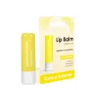 Бальзам для губ Colour Intense LIP BALM HEALTHY THERAPY 5 г 004 Молоко и облепиха
