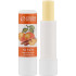 Бальзам для губ Colour Intense PROTECTIVE LIP BALM 5 г мандарин та кориця