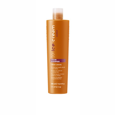 Кондиционер Inebrya Ice Cream Color Conditioner для окрашенных и мелированных волос 300мл